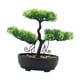 thumbnail image 2 of Bonsái Artificial Planta Falsa Decorativa Bonsái Mesa Potted PP Apariencia Natural Fácil Cuidado Adecuado para Oficina Dormitorio Escritor, 2 of 9