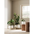 thumbnail image 6 of BEMAY 10"  White Ceramic Plant Pot with Drainage Hole and Saucer, Round Indoor Outdoor Planter for Houseplants, Flowers, Monstera, Snake Plant(Plant Not Included), 6 of 8