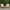 Cream, variant on Christopher Knight Home Perla Outdoor Acacia Wood Club Chair (Set of 2) by  Blue