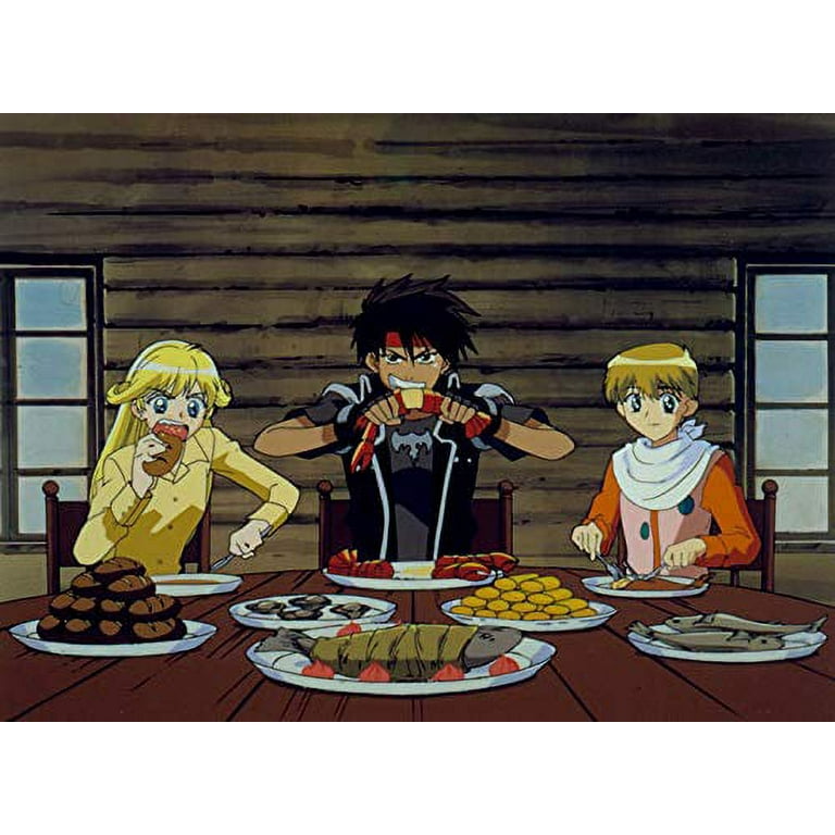 Sentai - Orphen [BLU-RAY] - Walmart.com
