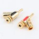 thumbnail image 1 of Conectores Banana de Cobre Chapados en Oro Yuxing Forma de Y para Cable de Altavoz Dorado Negro Rojo, 1 of 5