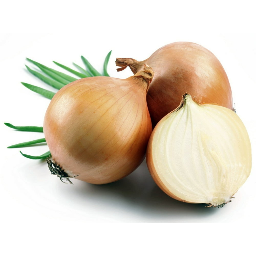 Hybrid Candy Onion 20 Plants Incredibly Sweet &amp; Mild