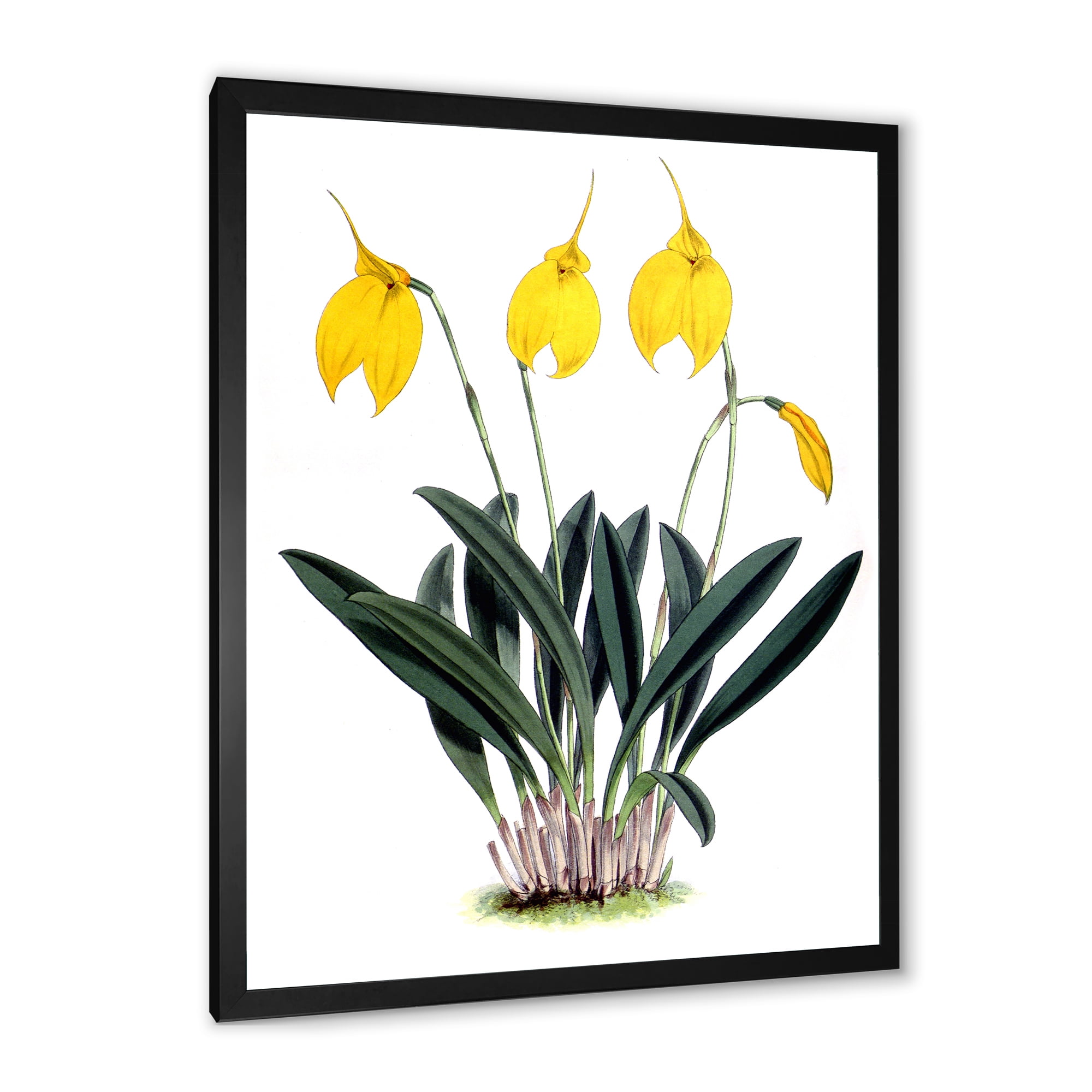 Designart 'Orchid Retro Flowers' Farmhouse Framed Art Print