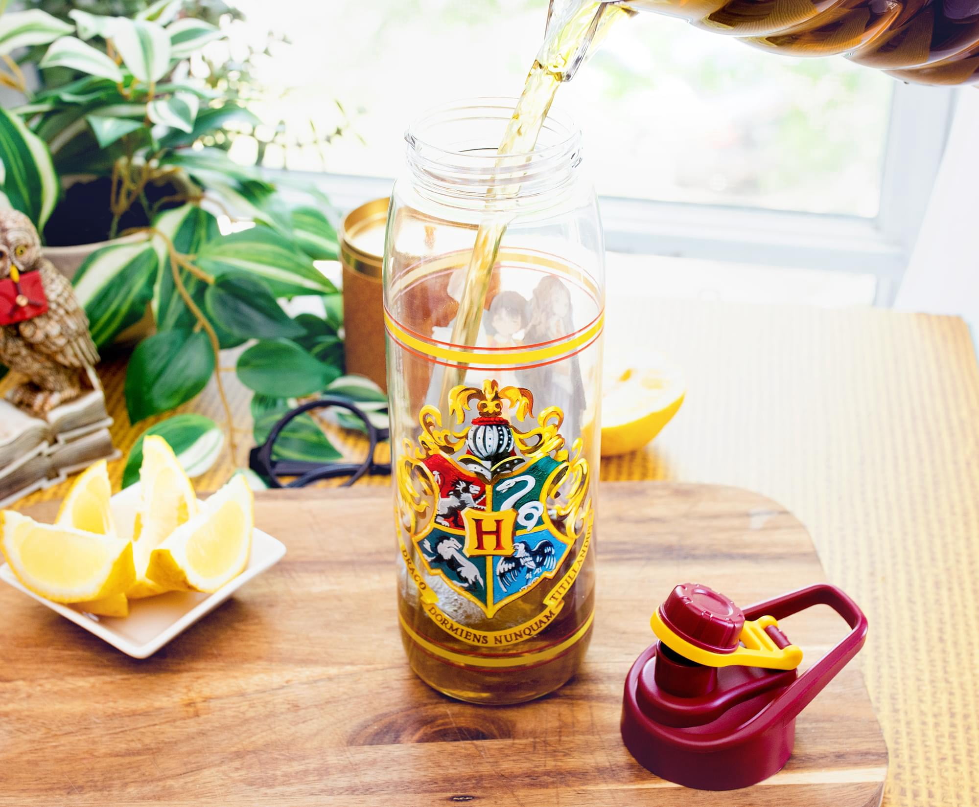 Harry Potter Hogwarts Anime Water Bottle With Screw-Top Lid