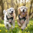 thumbnail image 3 of Dog Bandana 2 Pack,Pioneer Flower Floral Print Pattern Bandanas for Dogs,Cat Bandana,Small/ Large Dog Bandana 2 Size,Dog Bandanas Girl Boy, 3 of 6
