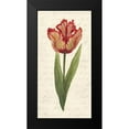 thumbnail image 2 of Grace Popp 9x14 Black Modern Wood Framed Wall Art Titled - Twin Tulips II, 2 of 5