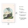 thumbnail image 2 of Peach Palm (Bactris Gasipaes) - Rio Japura Brazil - Vintage Botanical Illustration by Carl Friedrich Philipp von Martius c.1820s - Master Art Print (Unframed) 13in x 19in, 2 of 4