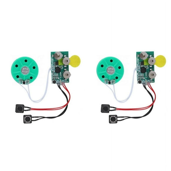 2X Tarjeta de MóDulo de Voz DIY, ReproduccióN de GrabacióN de 4 Minutos, Chip de Sonido de Voz, Tarjeta de FelicitacióN de Voz para Reemplazo de Equipaje de Vacaciones