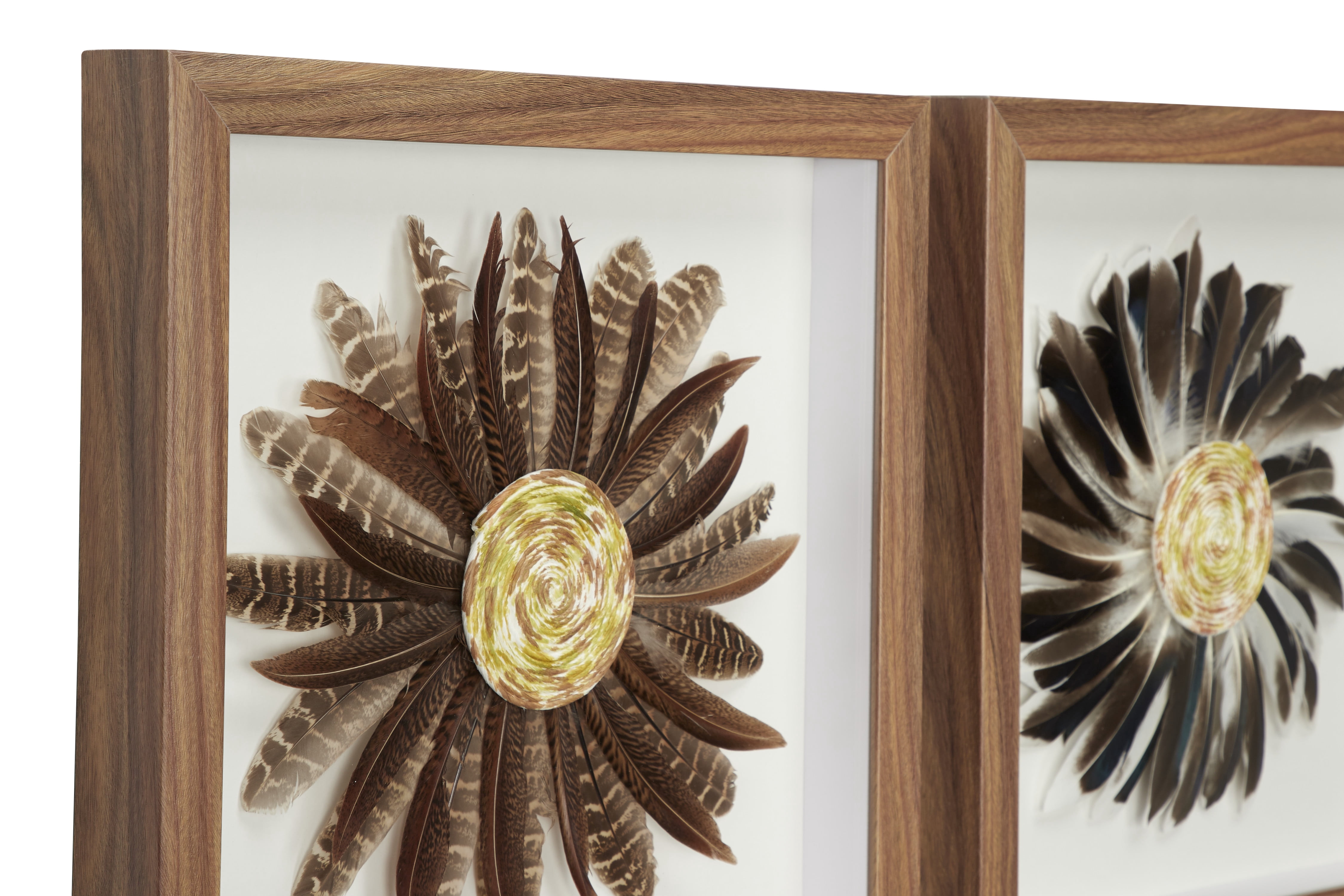 Decmode Eclectic Style Brown & Black Feather Shadow Box Wall Décor in Square Wood Frames, Set of 2: 15” x 15”