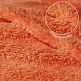 thumbnail image 5 of Exclusivo Mezcla Soft Fleece Throw Blanket for Couch, Super Soft Velvet Plush Bed Blanket, 50x60 Inches, Burnt Orange, 5 of 8