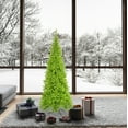 thumbnail image 4 of Vickerman 6.5' Lime Fir Slim Artificial Christmas Tree, Lime Dura-lit Incandescent Lights, 4 of 4