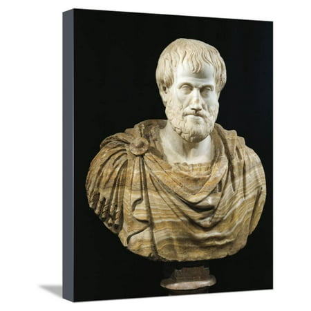 Marble and Alabaster Bust of Aristotle Stretched Canvas Print Wall (Aristotle Best Form Of Government)
