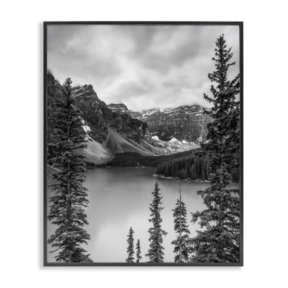 Stupell Industries Farmhouse Woodland Pond Scenery Black Framed Giclee Art, 16 x 20, by Daniel Sproul