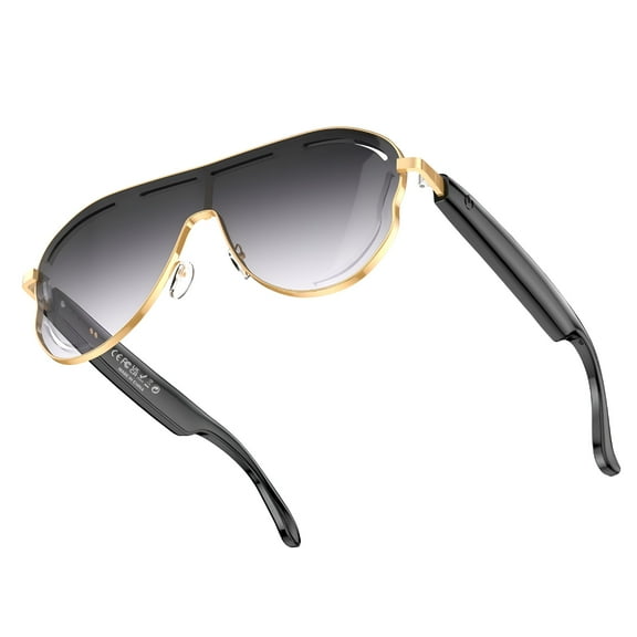 GJX Video Call Translation AI Smart Glasses European and American Large Frame Bluetooth Audio Glasses Stainless Steel Sunglasses