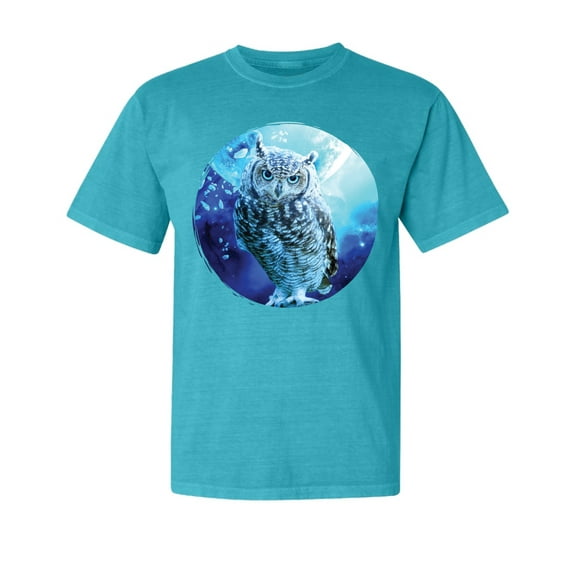 Wild Bobby, Cute Nocturnal Snow Owl Winter, Animal Lover, Garment-Dyed Washed Look Short Sleeve T-Shirt, Blue Lagoon, Small