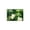 Color 2, variant on Green Tropical Leaves On Pink Soft Small Velvet Area Rugs Non Slip Indoor Floor Carpet for Living Room Bedroom Decor