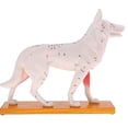 thumbnail image 1 of Modèle Anatomique de Chien Modèle d'Acupuncture Anatomie Modèle de Point d'Acupuncture du Corps de Chien avec 72 Points d'Acupuncture Modèle d'Étude, 1 of 7
