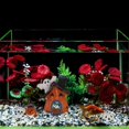 thumbnail image 2 of 5PCS Halloween Decoration Pumpkin Halloween Fish Tank Decor Fish Aquarium Decoration for Fish Tank - -, 2 of 8