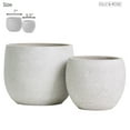 thumbnail image 7 of Olly & Rose Barcelona Ceramic Plant Pot Set 2 - Indoor & Outdoor Planters for Indoors and Outdoor Flower Pots (White), 7 of 7