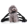 thumbnail image 2 of Ropa de Invierno Suave perfecl Accesorios de Perro Gato M Araña M, 2 of 8