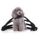thumbnail image 2 of Nuevo abrigo de abrigo para perro, disfraz de elfo o araña para cachorro, adorable disfraz navideño Araña M, 2 of 9