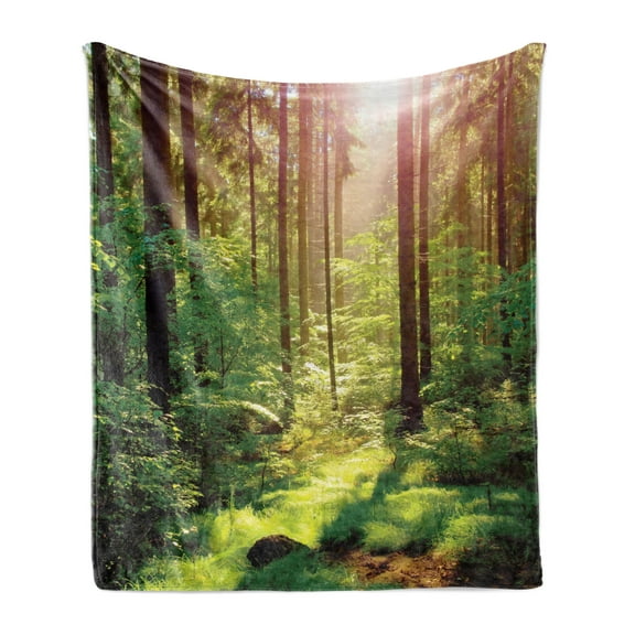 Forest Soft Flannel Fleece Throw Blanket, Forest in Spring Time Sunset Moss Woods Leaf Wilderness Fantasy View Print, Cozy Plush for Indoor and Outdoor Use, 60" x 80", Green Brown, by Ambesonne