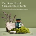 thumbnail image 4 of Gaia Herbs Adrenal Health Daily Support - Herbal Supplement with Ashwagandha, Holy Basil & Schisandra - Help Maintain Healthy Energy & Stress Levels* - 120 Vegan Liquid Phyto-Caps (60 Servings), 4 of 10