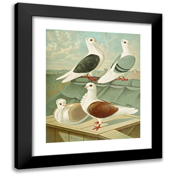 Gustav Prütz 12x14 Black Modern Framed Museum Art Print Titled - C. Turbita 2 (1884-1886)