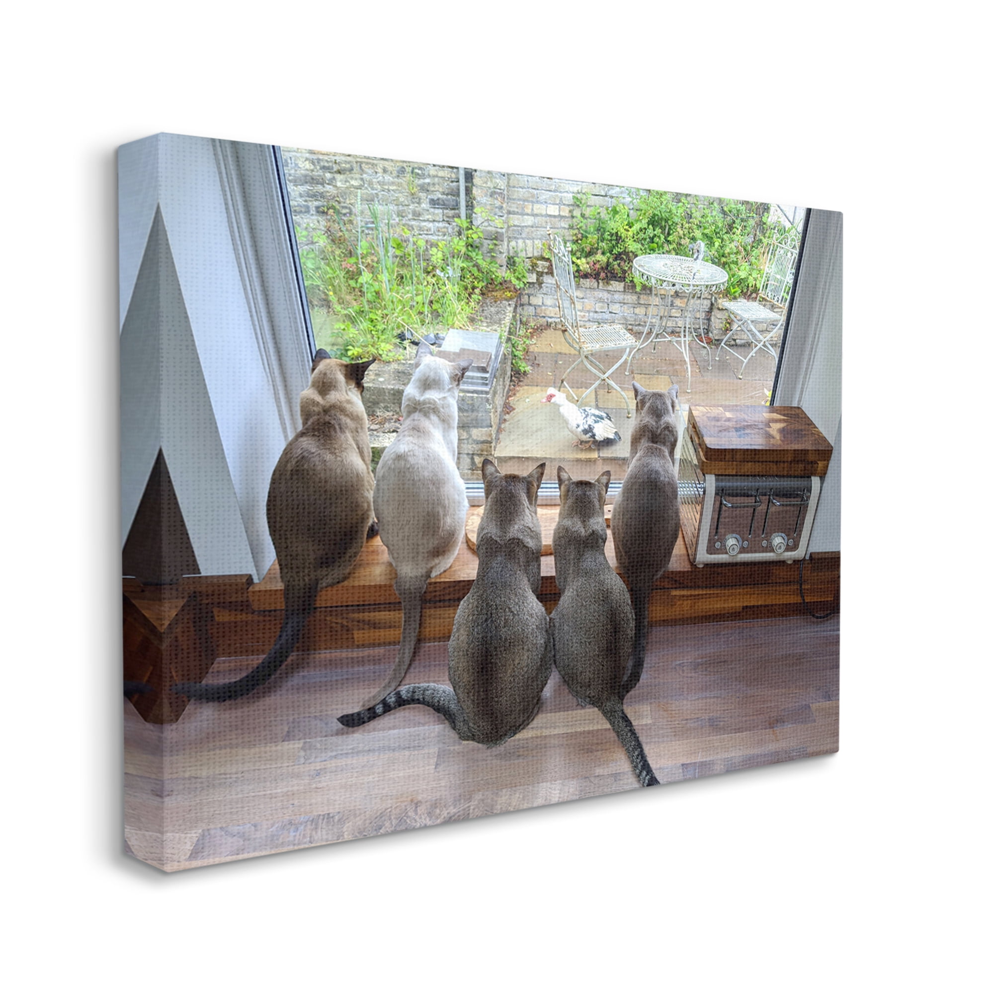 Stupell Industries Cats Watching Bird at Window Animals & Insects Photography Gallery Wrapped Canvas Art Print Wall Art, 48 x 36