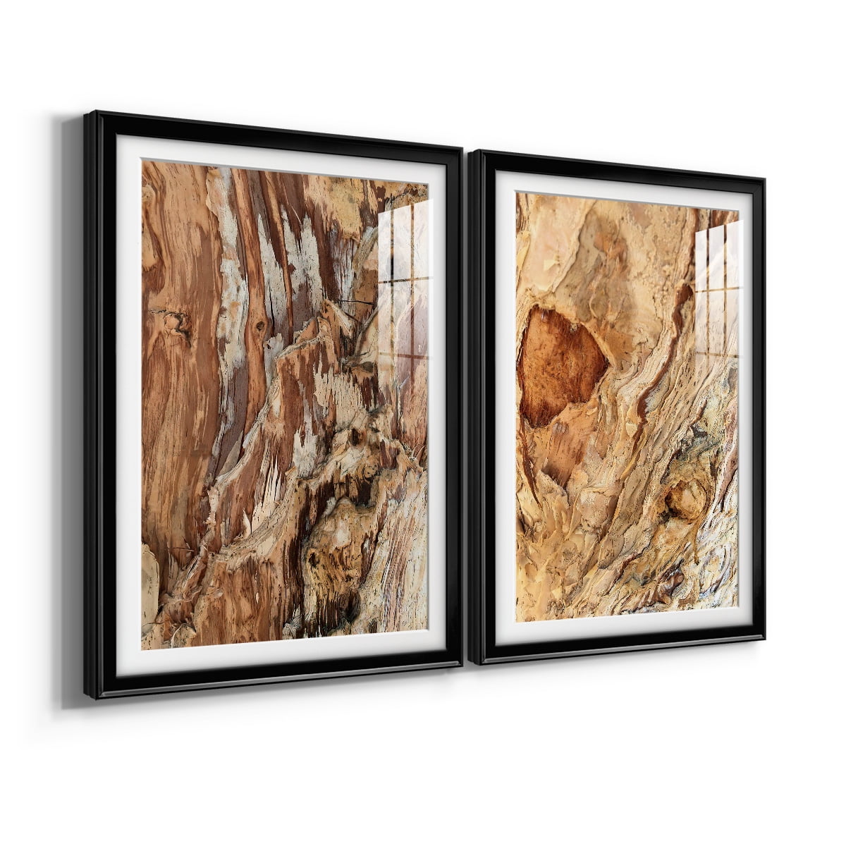 Wexford Home Tree Texture Triptych I Premium Framed Print, 22.5" x 30.5" - Ready to Hang, Black (Set of 2)