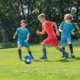 thumbnail image 5 of The Doggy Disc Ball Ascribei Doggy Disc Ball Treebarks Bounce Pop Ball For Dog, 5 of 5