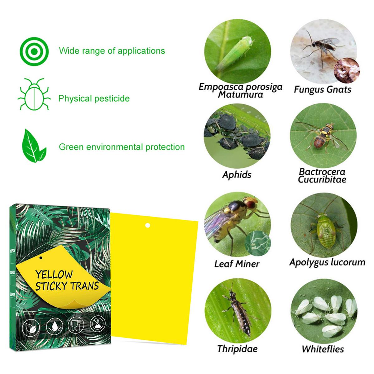 Famure Fly Pest Control Trap Sticky Glue Board for Flies Moths