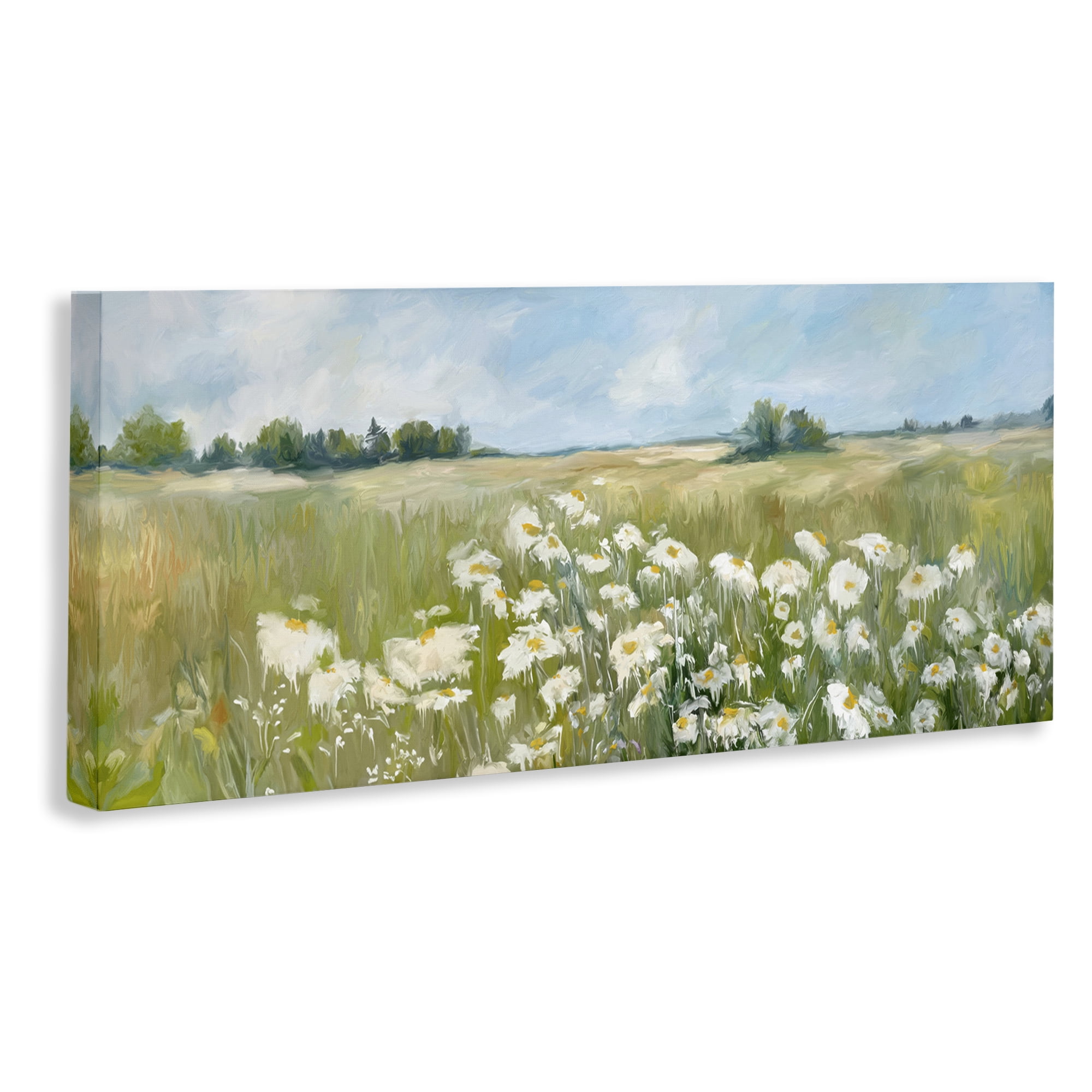 Stupell Industries Panoramic Sunlit Cliff Landscape Photography Gallery Wrapped Canvas Art Print Wall Art, 48 x 20