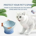 thumbnail image 3 of Raised Tilted Ceramic Cat Food Bowl Cute Pink Fish Shape Elevated Slanted Shallow Angled Cat Dish, 3 of 5