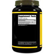 PrimaForce Creatine Monohydrate Supplement – 1.5 KG - Micronized Powder
