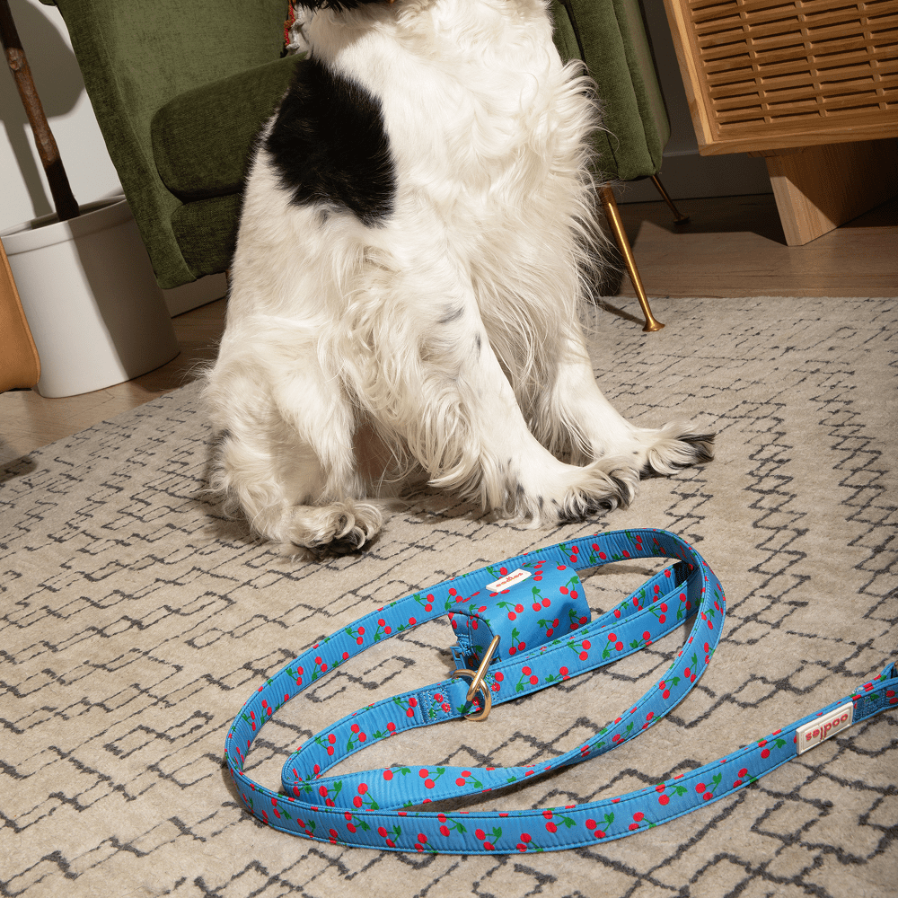 Oodles Blue Tart Cherries Dog Walking 3 Piece Set, Large