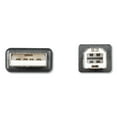 thumbnail image 3 of Innovera Usb Cable, 10 Ft, Black, 3 of 3