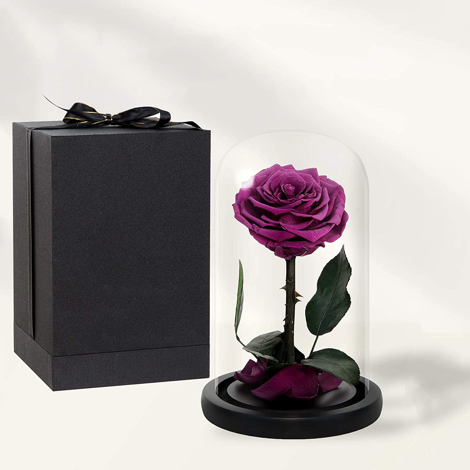 Preserved Roses Red Roses in Glass Dome Rose That Last 2 to 3 Years Red Rose Gifts for Her Three Roses Large Size