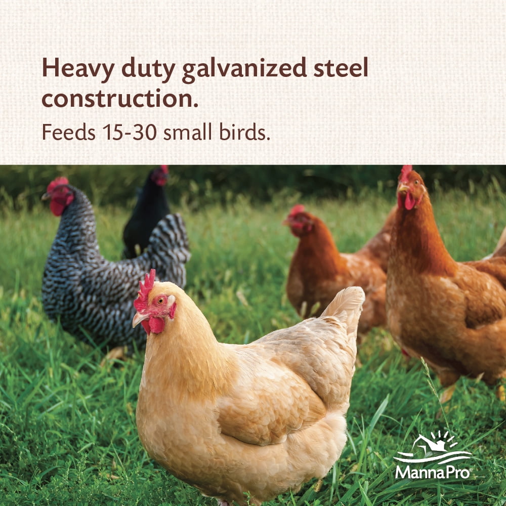 Manna Pro Free Range Galvanized Steel Hanging Small Bird Feeder 15 lb