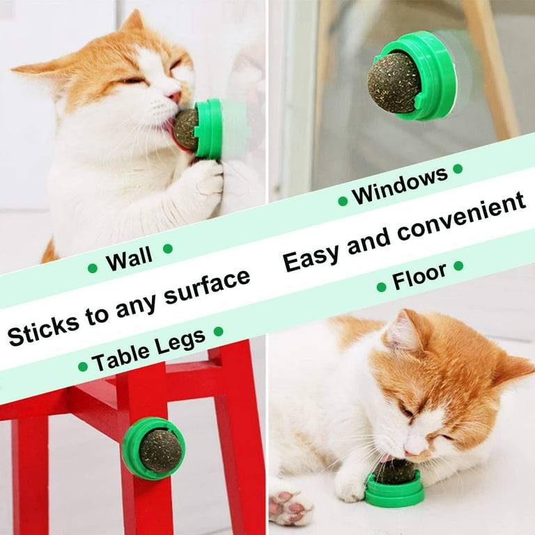 Catnip Ball Toys Rotatable Catnip Wall Roller Edible Cat Licking Toy Cat  Paw Cat Chew Toys Interactive Toys for Teeth Cleaning - China Cat Toy and  Catnip Ball price