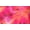 Hot Pink Brown Over Shrimp Pink, variant on 1/8 Hareline Tiger Barred Rabbit Strips
