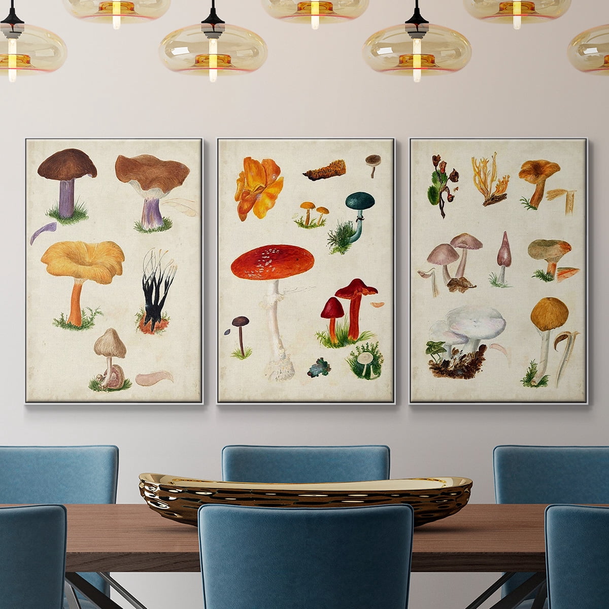 Mushroom Species VI - Framed Premium Gallery Wrapped Canvas L Frame 3 Piece Set - Ready to Hang