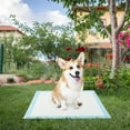 thumbnail image 2 of Gymax 30''x 30''(300 Counts) Dog Potty Training Pads Puppy Pee Pads w/ Quick-Drying, 2 of 9