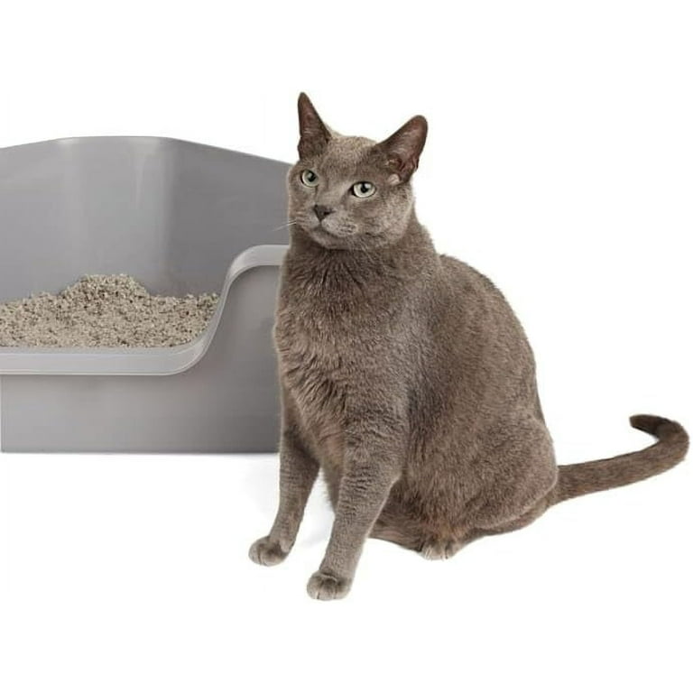 High back litter box with lid cheap