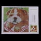 thumbnail image 5 of 2 Unids / Set Kits de Gancho de Cierre para Alfombra de Tiro DIY Alfombra Animales Perros Cojín con Impreso 17X17 Pulgadas, Manualidades, 5 of 9