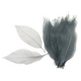 thumbnail image 2 of segolike 100pcs Natural Magnolia Skeleton Leaf Leaves Scrapbooking Decors Grey White, 2 of 9