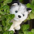 thumbnail image 3 of Perros Husky de 8 pulgadas, peluche de lobo Husky, juguetes de animales de peluche, muñeco para cachorro, perro de simulación, 3 of 3