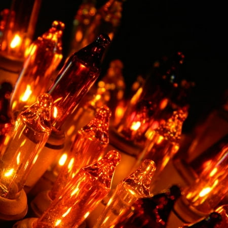 Harvest Mini Pendant - Electric Plug-In String Lights Fall Harvest String Lights 35 Mini Lights Fall Colors