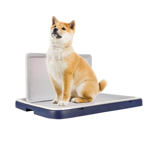 Dog toilets for apartments 2025