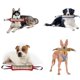 thumbnail image 1 of Juguete para tirar de mordeduras de perro; Palo de mordida resistente para perros medianos y grandes; Entrenamiento de cachorros y juguete interactivo para tirar, 1 of 6